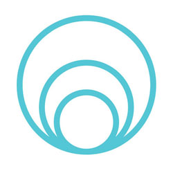 icon three concentric circles